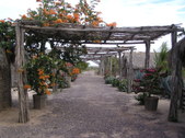Enlarge photo 4