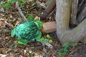 Enlarge photo 7