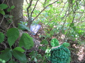 Enlarge photo 18
