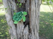 Enlarge photo 19