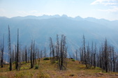 Enlarge photo 17
