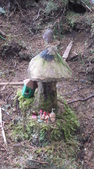 Enlarge photo 16