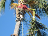Enlarge photo 23