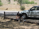 Enlarge photo 17