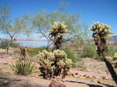 Enlarge photo 4