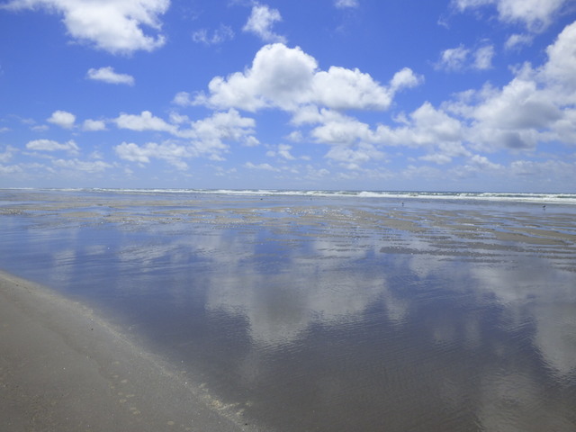 Beach View