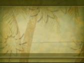 Enlarge FLV 6