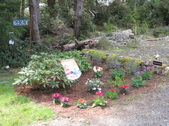 Enlarge photo 20