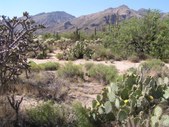 Enlarge photo 6