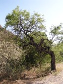 Enlarge photo 24