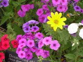 Enlarge photo 10