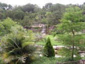 Zilker Gardens