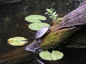 Enlarge photo 18