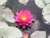 Enlarge photo 24
