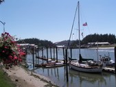 Enlarge photo 6