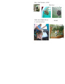 Enlarge PDF 2