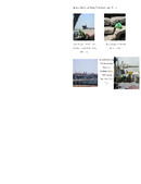 Enlarge PDF 8