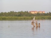 Kayaking the Lagoon