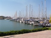 Enlarge photo 14