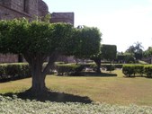 Enlarge photo 18