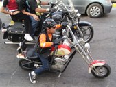Enlarge photo 3