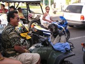 Enlarge photo 14