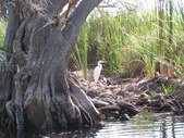 Enlarge photo 18
