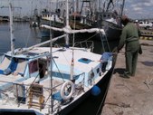 Enlarge photo 12