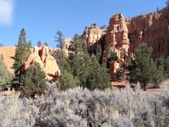 Enlarge photo 11
