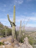 Enlarge photo 23