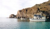 Enlarge photo 3