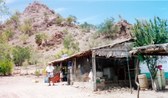 Enlarge photo 10