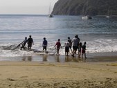 Enlarge photo 21