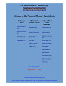 Enlarge HTML Document 19