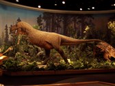 Drumheller