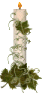 Enlarge photo 46
