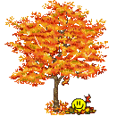 Enlarge photo 37