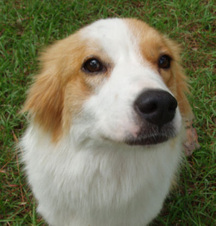 Maggie