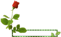 Enlarge photo 36