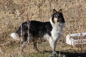 Enlarge photo 13