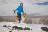 Enlarge photo 31