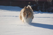 Enlarge photo 35