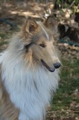 Our Newest Addition
