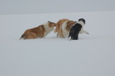 Enlarge photo 25
