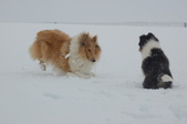 Enlarge photo 26