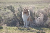 Enlarge photo 21