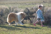Enlarge photo 13