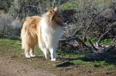 Enlarge photo 20