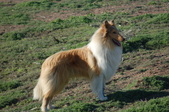 Enlarge photo 15