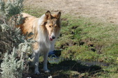 Enlarge photo 38